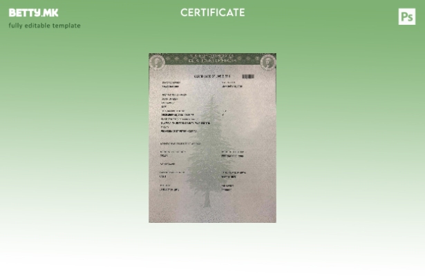 Модерен стил Шаблон за извод од матична книга на родените во болницата Свети Пет